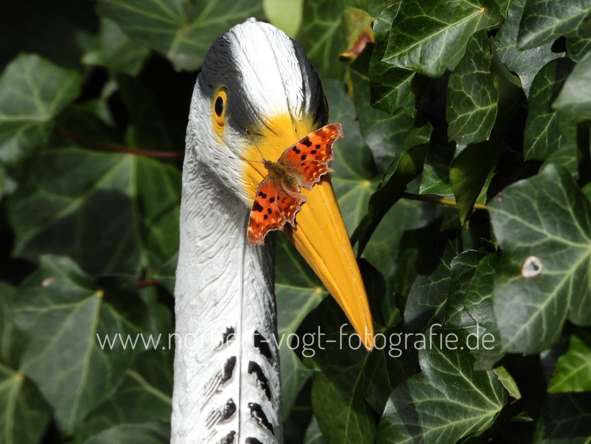 Graureiher ( Plasteversion ) mit C-Falter