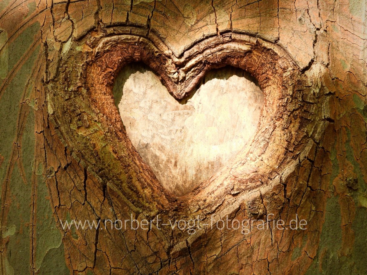 Wooden Heart