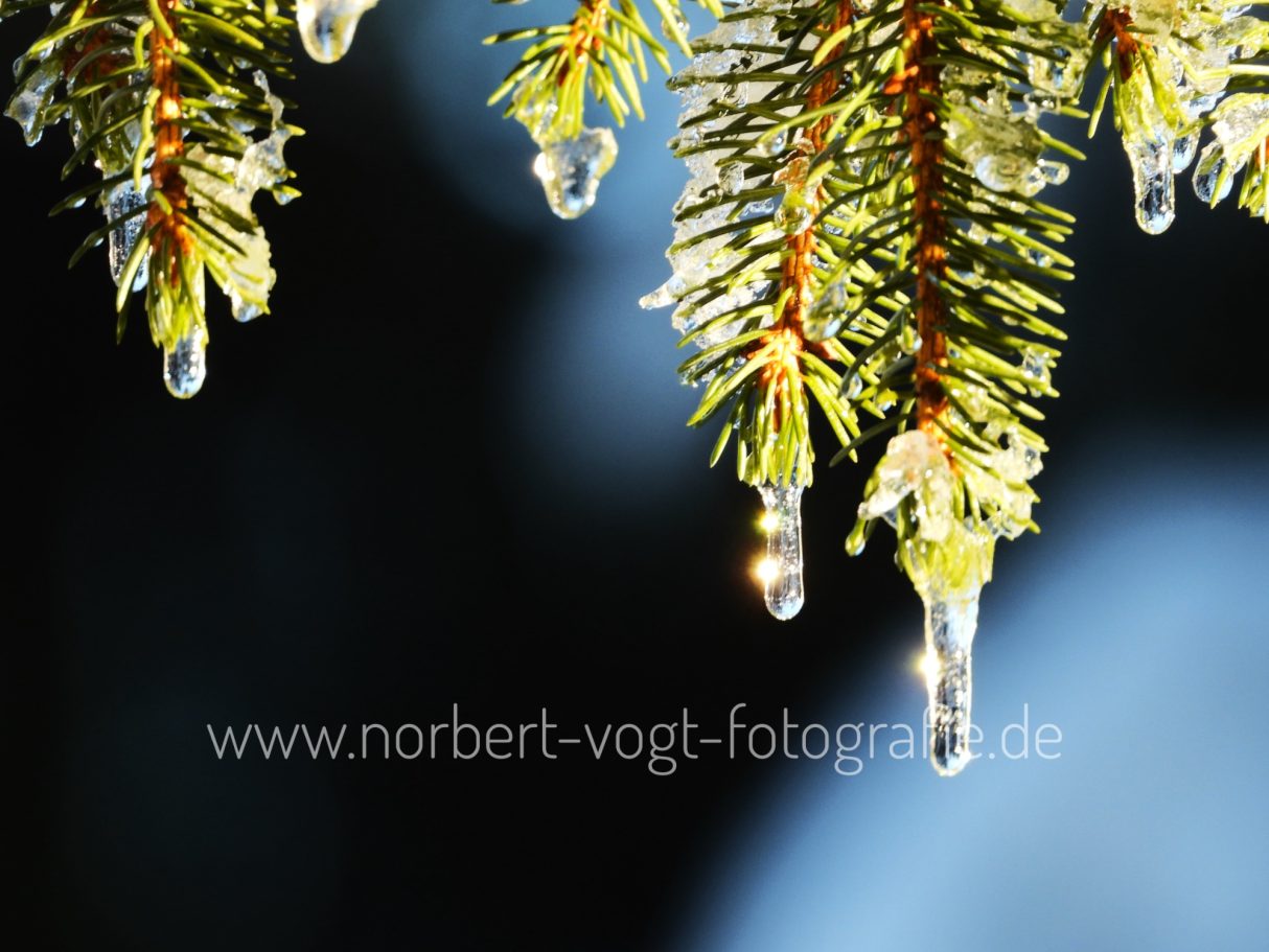 Winterlicht