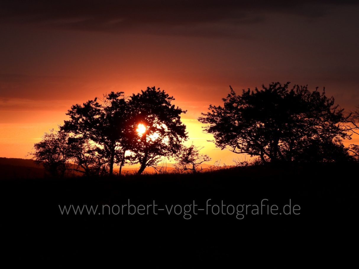 Am Abend